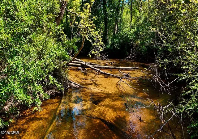 Photo 4 of Land for sale at 00 Pitts Rd, Fountain, FL 32438 | MLS# 795920 | Listing updated on 2026-09-28