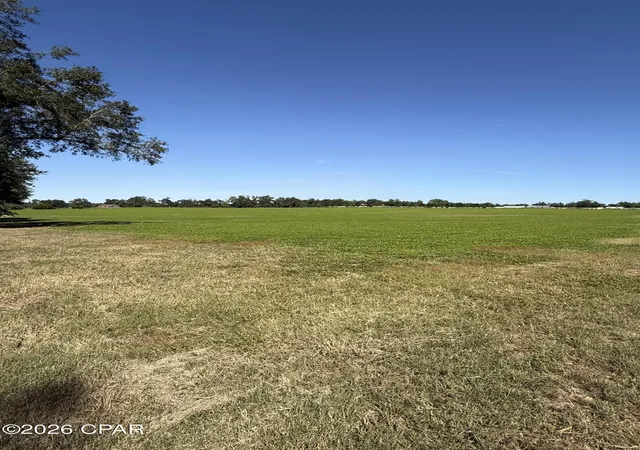 Land for sale at 0 Dellwood Cypress Rd, Grand Ridge, FL 32442 | MLS# 795963