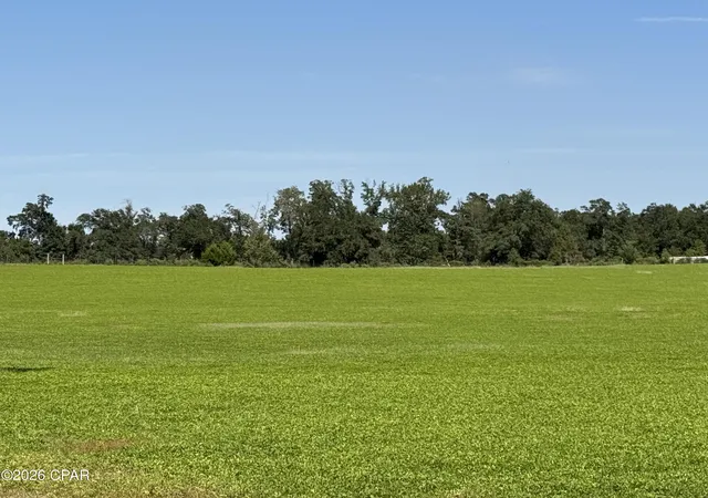 Photo 2 of Land for sale at 0 Dellwood Cypress Rd, Grand Ridge, FL 32442 | MLS# 795963 | Listing updated on 2026-09-28