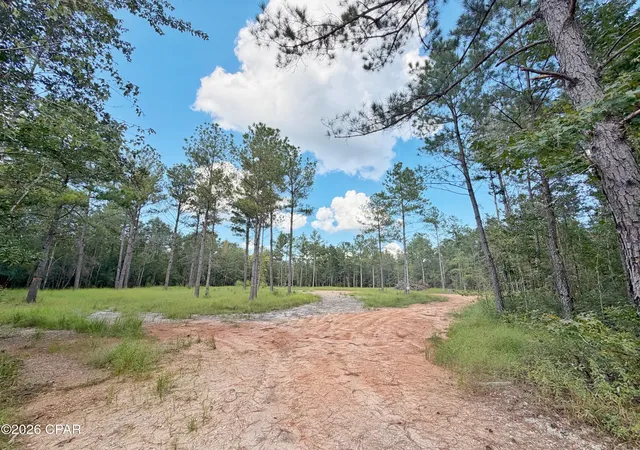 Land for sale at 0 Old Spanish Trl, Marianna, FL 32448 | MLS# 796148