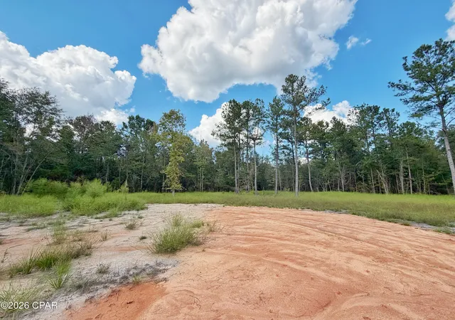 Photo 3 of Land for sale at 0 Old Spanish Trl, Marianna, FL 32448 | MLS# 796148 | Listing updated on 2026-10-01
