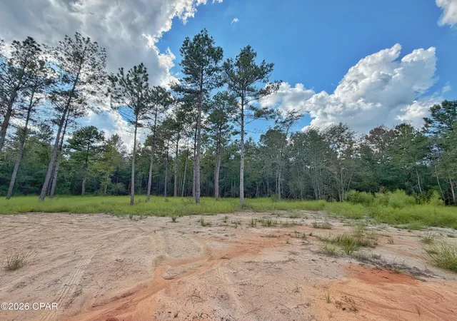 Photo 3 of Land for sale at 0 Old Spanish Trl, Marianna, FL 32448 | MLS# 796148 | Listing updated on 2026-10-01