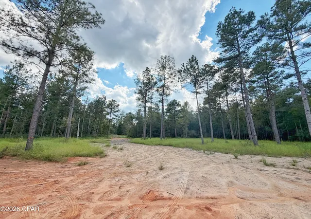 Photo 4 of Land for sale at 0 Old Spanish Trl, Marianna, FL 32448 | MLS# 796148 | Listing updated on 2026-10-01