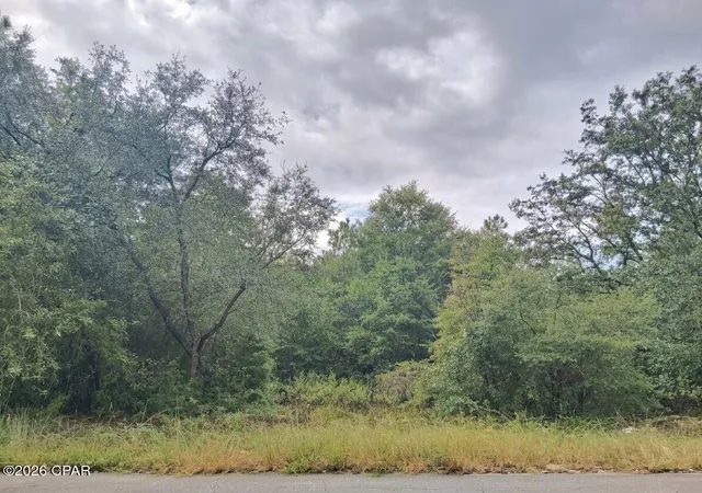 Photo 2 of Land for sale at 4114 Janet Cir, Chipley, FL 32428 | MLS# 796247 | Listing updated on 2026-10-05