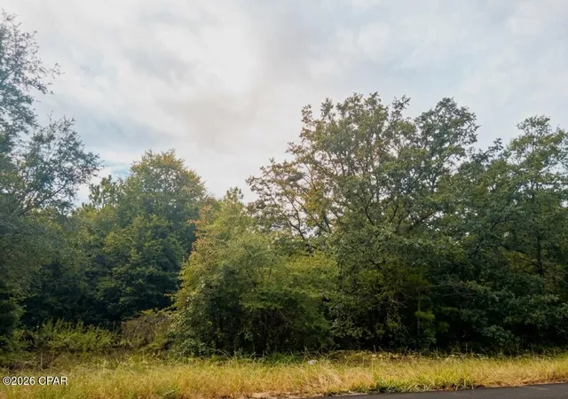 Photo 3 of Land for sale at 4114 Janet Cir, Chipley, FL 32428 | MLS# 796247 | Listing updated on 2026-10-05