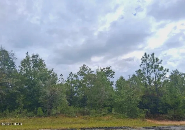 Photo 3 of Land for sale at Lot 2 Yorkshire Dr, Chipley, FL 32428 | MLS# 796250 | Listing updated on 2026-10-05