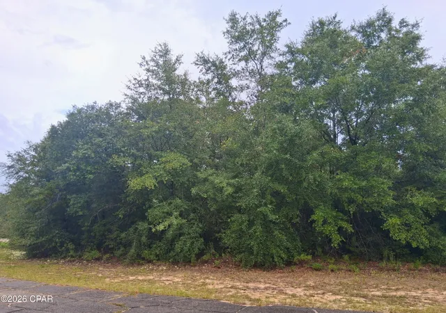 Photo 2 of Land for sale at Lot 5 Galaxy Pl, Chipley, FL 32428 | MLS# 796251 | Listing updated on 2026-10-05