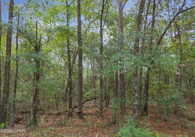 Photo 1 of Land for sale at Lot 24 Remington Pl, Bonifay, FL 32425 | MLS# 796230 | Listing updated on 2026-10-05