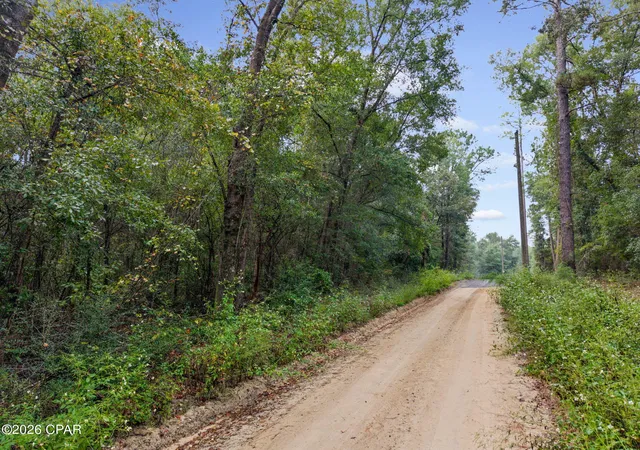 Photo 3 of Land for sale at Lot 24 Remington Pl, Bonifay, FL 32425 | MLS# 796230 | Listing updated on 2026-10-05