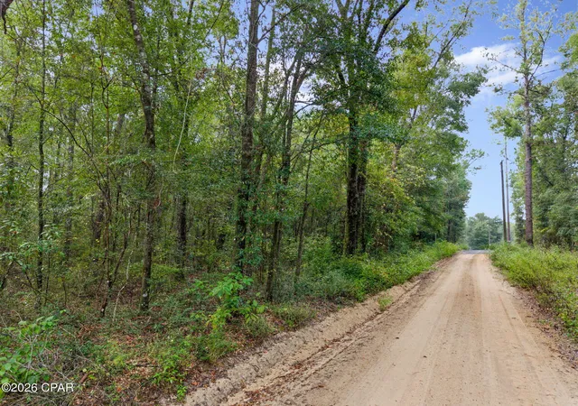 Photo 1 of Land for sale at Lot 23 Remington Pl, Bonifay, FL 32425 | MLS# 796229 | Listing updated on 2026-10-05