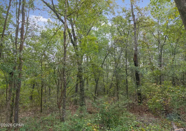 Photo 2 of Land for sale at Lot 23 Remington Pl, Bonifay, FL 32425 | MLS# 796229 | Listing updated on 2026-10-05