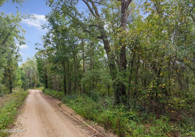 Photo 3 of Land for sale at Lot 23 Remington Pl, Bonifay, FL 32425 | MLS# 796229 | Listing updated on 2026-10-05