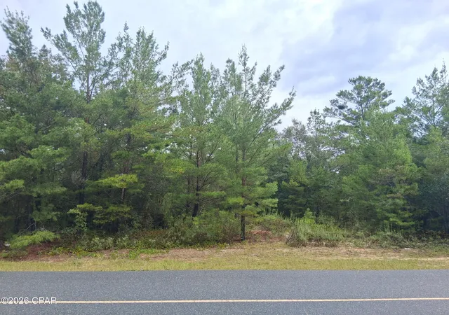 Photo 2 of Land for sale at Lot 18 Zinnia Dr, Chipley, FL 32428 | MLS# 796248 | Listing updated on 2026-10-05