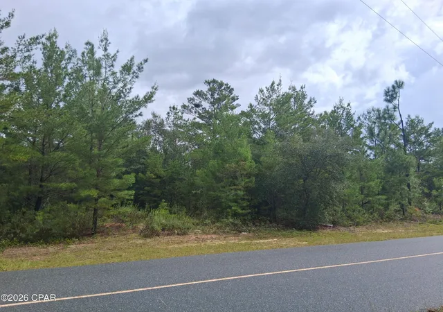 Photo 3 of Land for sale at Lot 18 Zinnia Dr, Chipley, FL 32428 | MLS# 796248 | Listing updated on 2026-10-05