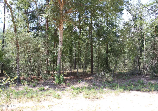 Photo 1 of Land for sale at Tbd Monogahela Ave, Alford, FL 32420 | MLS# 796220 | Listing updated on 2026-10-05