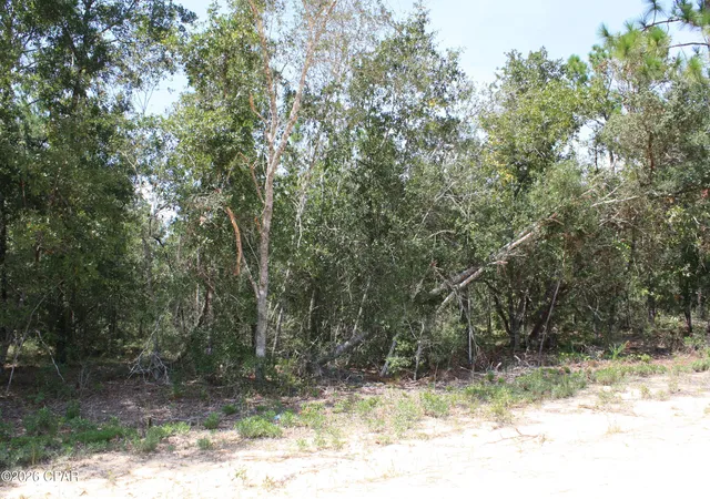 Photo 2 of Land for sale at Tbd Monogahela Ave, Alford, FL 32420 | MLS# 796220 | Listing updated on 2026-10-05