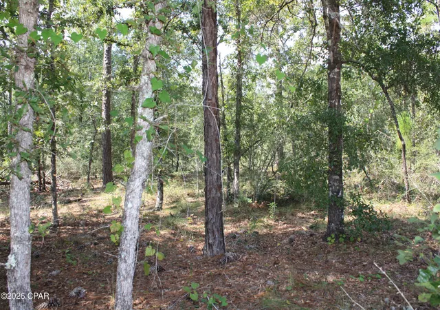 Photo 3 of Land for sale at Tbd Monogahela Ave, Alford, FL 32420 | MLS# 796220 | Listing updated on 2026-10-05