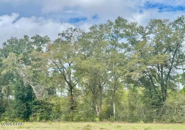 Photo 1 of Sale Pending at 3359 Woodrest Rd, Cottondale, FL 32431 | MLS# 796243 | Listing updated on 2026-10-07