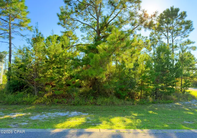 Land for sale at 213 Stingray Ln, Port Saint Joe, FL 32456 | MLS# 796270