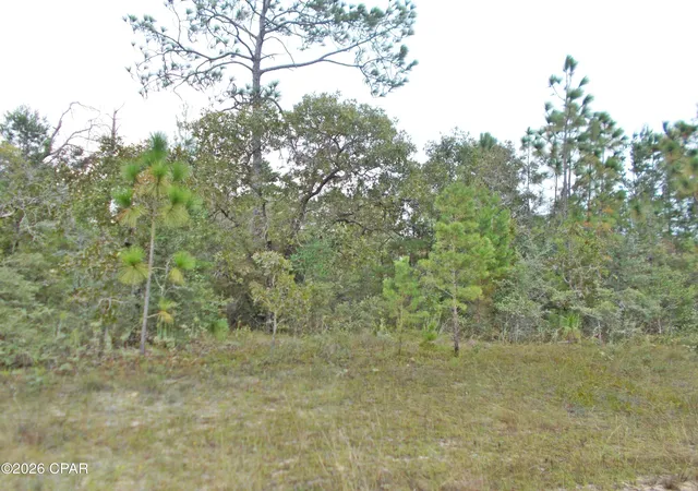 Land for sale at Lot 6 Nolan Dr, Chipley, FL 32428 | MLS# 796312