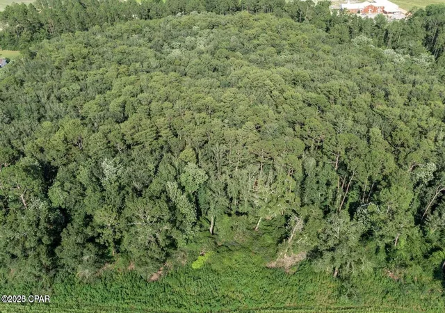 Photo 3 of Land for sale at 000 Highway 173, Graceville, FL 32440 | MLS# 796320 | Listing updated on 2026-10-06