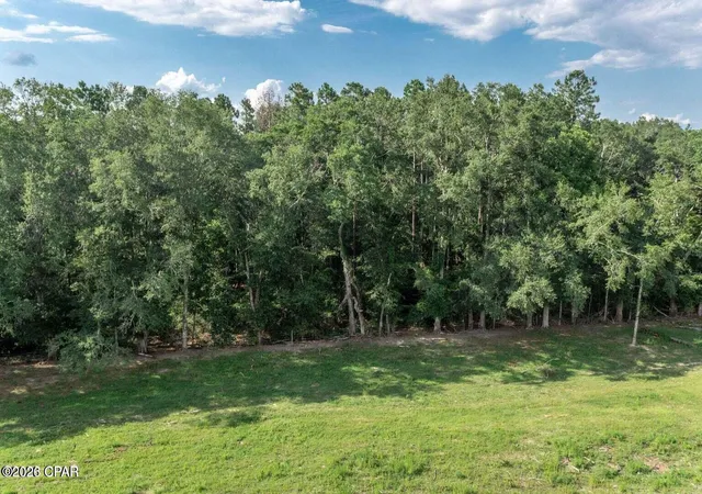 Photo 4 of Land for sale at 000 Highway 173, Graceville, FL 32440 | MLS# 796320 | Listing updated on 2026-10-06
