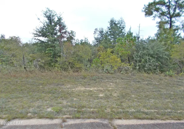 Land for sale at Lot 15 Valiant Dr, Chipley, FL 32428 | MLS# 796349