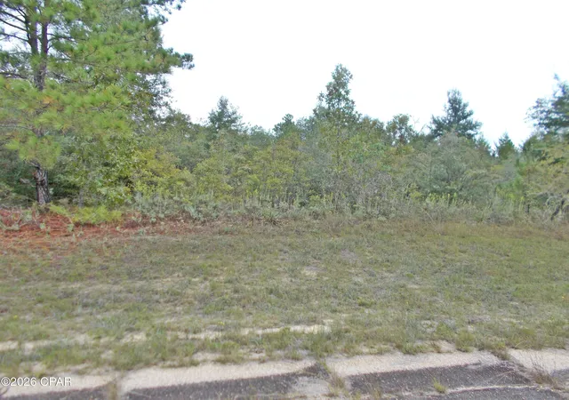 Photo 4 of Land for sale at Lot 15 Valiant Dr, Chipley, FL 32428 | MLS# 796349 | Listing updated on 2026-10-07