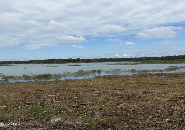 Photo 2 of Land for sale at 171 Lake Merial Blvd, Panama City, FL 32409 | MLS# 796378 | Listing updated on 2026-10-07
