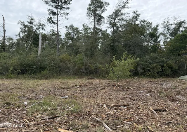 Photo 4 of Land for sale at 171 Lake Merial Blvd, Panama City, FL 32409 | MLS# 796378 | Listing updated on 2026-10-07