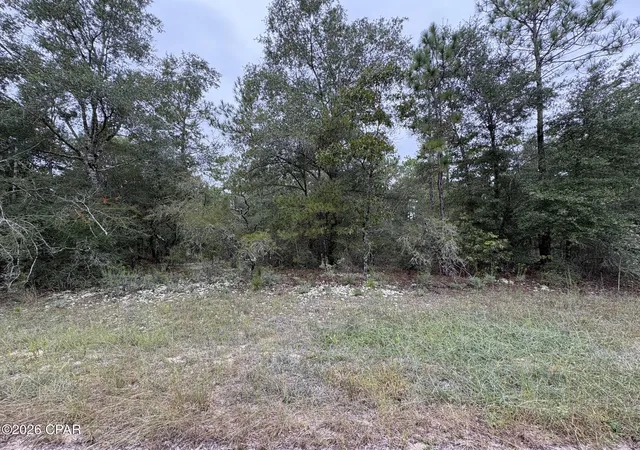Land for sale at Lot 38 Adirondack Dr, Chipley, FL 32428 | MLS# 796390