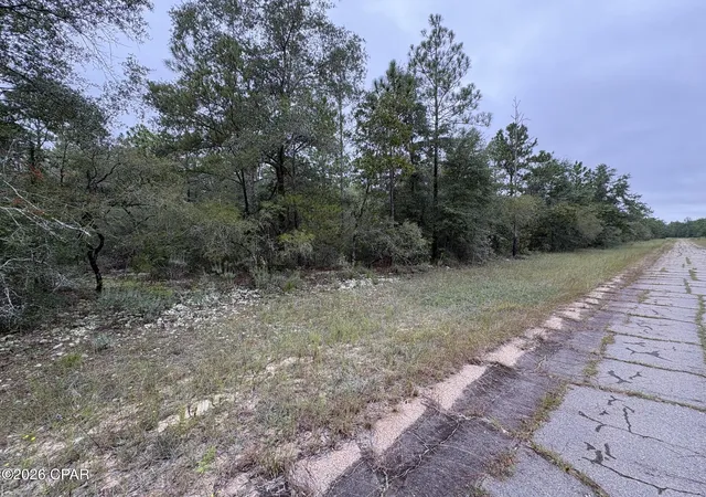 Photo 1 of Land for sale at Lot 38 Adirondack Dr, Chipley, FL 32428 | MLS# 796390 | Listing updated on 2026-10-08