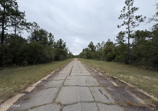 Photo 3 of Land for sale at Lot 38 Adirondack Dr, Chipley, FL 32428 | MLS# 796390 | Listing updated on 2026-10-08