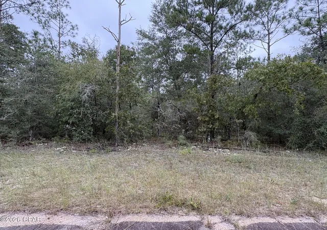 Land for sale at Lot 37 Adirondack Dr, Chipley, FL 32428 | MLS# 796391