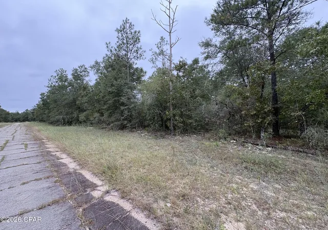 Photo 2 of Land for sale at Lot 37 Adirondack Dr, Chipley, FL 32428 | MLS# 796391 | Listing updated on 2026-10-08