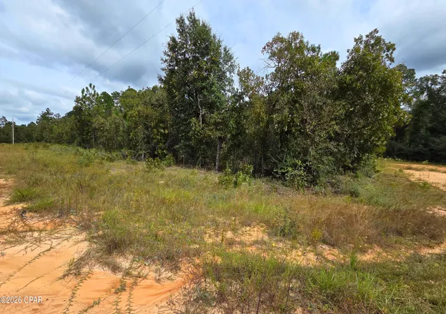 Land for sale at 0 Flower Ct, Marianna, FL 32448 | MLS# 796396