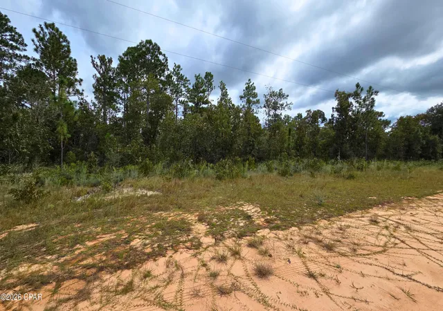 Photo 2 of Land for sale at 0 Flower Ct, Marianna, FL 32448 | MLS# 796396 | Listing updated on 2026-10-08