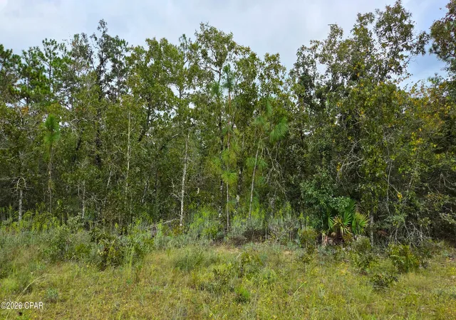 Photo 3 of Land for sale at 0 Flower Ct, Marianna, FL 32448 | MLS# 796396 | Listing updated on 2026-10-08