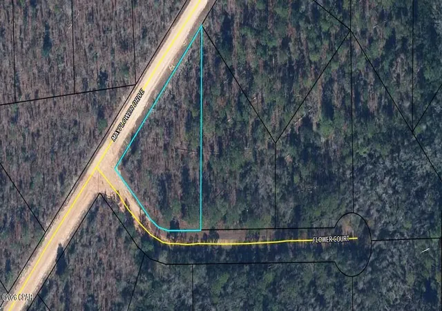 Photo 3 of Land for sale at 0 Flower Ct, Marianna, FL 32448 | MLS# 796396 | Listing updated on 2026-10-08