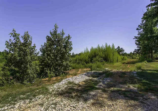 Photo 3 of Land for sale at 0 Roddy Road, Woodruff, SC 29388 | MLS# SPN270475 | Listing updated on 2026-10-06
