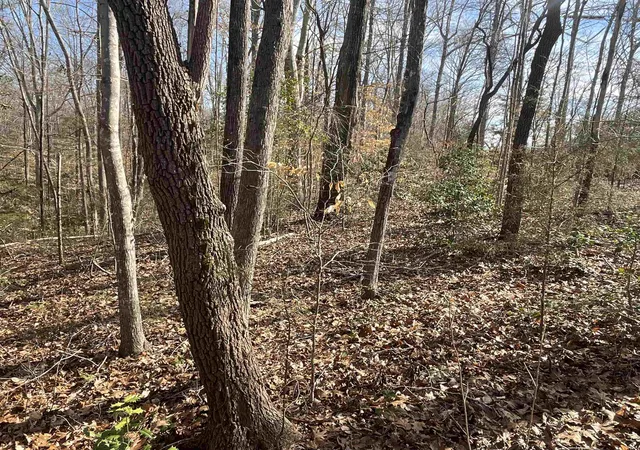 2nd image of 161 Little River Trail, Fort Mill, SC 29707 | MLS# SPN297539