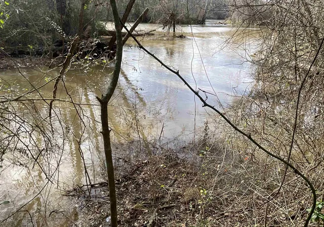 1st image of 161 Little River Trail, Fort Mill, SC 29707 | MLS# SPN297539