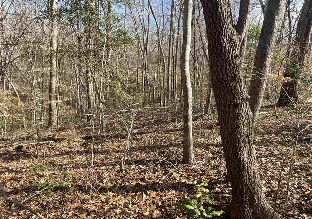 3rd image of 161 Little River Trail, Fort Mill, SC 29707 | MLS# SPN297539