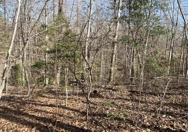 4th image of 161 Little River Trail, Fort Mill, SC 29707 | MLS# SPN297539