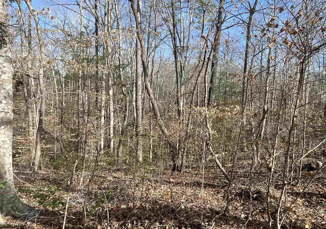 5th image of 161 Little River Trail, Fort Mill, SC 29707 | MLS# SPN297539