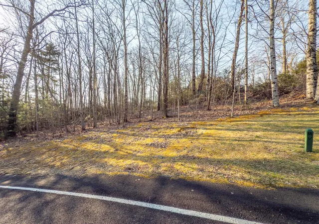 Photo 3 of Land for sale at 2 Park Green Way, Landrum, SC 29356 | MLS# SPN321927 | Listing updated on 2026-05-19