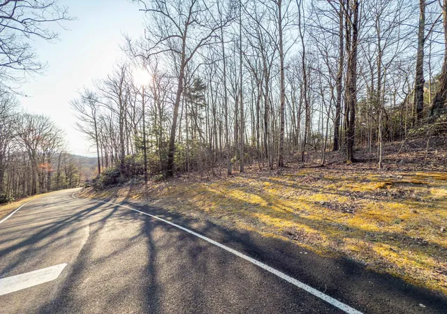 Photo 4 of Land for sale at 2 Park Green Way, Landrum, SC 29356 | MLS# SPN321927 | Listing updated on 2026-05-19