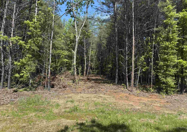 21st image of 1940 Pleasant Hill Rd Lot 3 B, Greer, SC 29651 | MLS# SPN323123
