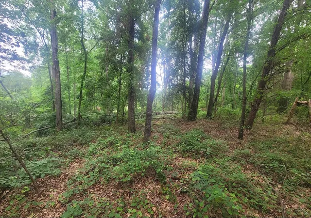 Photo 1 of Land for sale at 1429 Casey Crk Rd, Chesnee, SC 29323 | MLS# SPN325679 | Listing updated on 2026-09-30