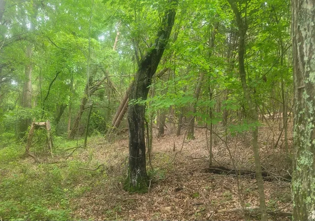 Photo 2 of Land for sale at 1429 Casey Crk Rd, Chesnee, SC 29323 | MLS# SPN325679 | Listing updated on 2026-09-30